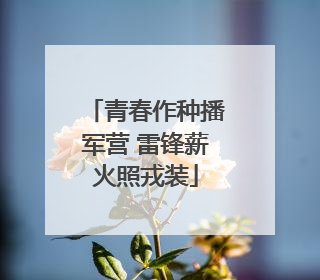 青春作种播军营 雷锋薪火照戎装