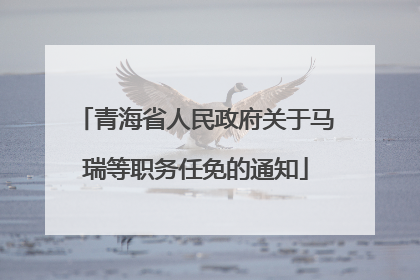 青海省人民政府关于马瑞等职务任免的通知