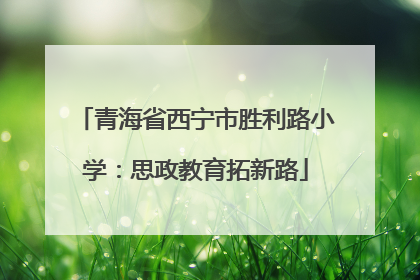 青海省西宁市胜利路小学：思政教育拓新路