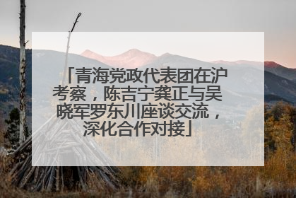 青海党政代表团在沪考察，陈吉宁龚正与吴晓军罗东川座谈交流，深化合作对接