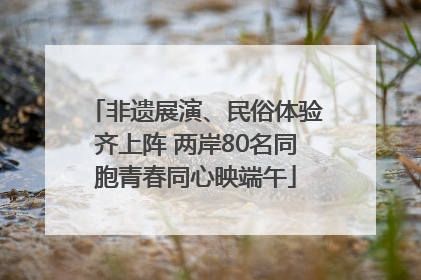 非遗展演、民俗体验齐上阵 两岸80名同胞青春同心映端午