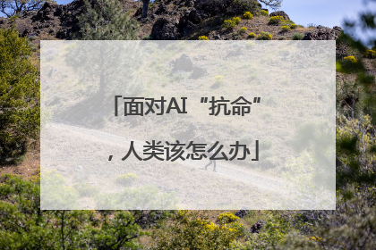面对AI“抗命”，人类该怎么办