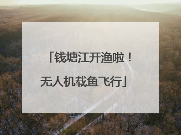 钱塘江开渔啦！无人机载鱼飞行