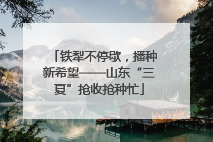 铁犁不停歇，播种新希望——山东“三夏”抢收抢种忙