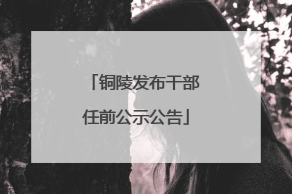 铜陵发布干部任前公示公告