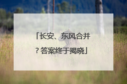 长安、东风合并？答案终于揭晓
