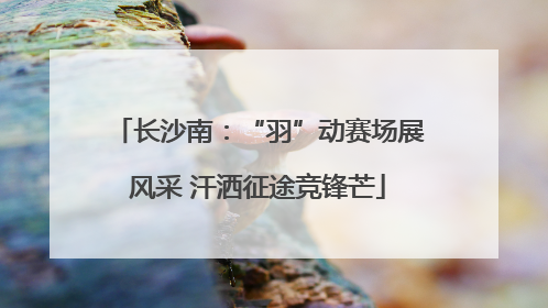 长沙南：“羽”动赛场展风采 汗洒征途竞锋芒