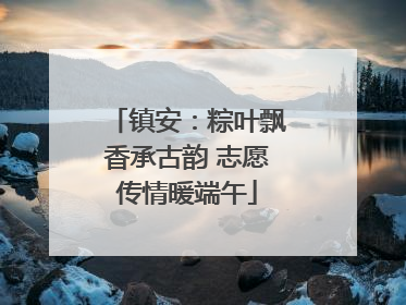 镇安：粽叶飘香承古韵 志愿传情暖端午