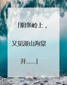 阴条岭上，又见漫山海棠开……