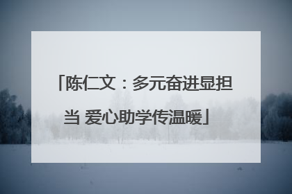 陈仁文：多元奋进显担当 爱心助学传温暖