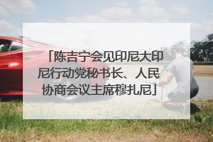 陈吉宁会见印尼大印尼行动党秘书长、人民协商会议主席穆扎尼