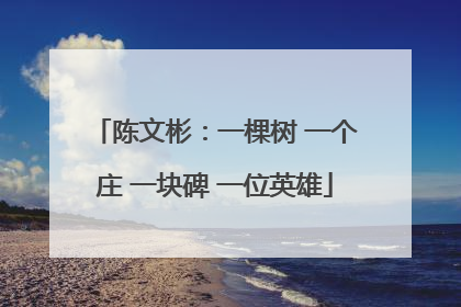 陈文彬：一棵树 一个庄 一块碑 一位英雄