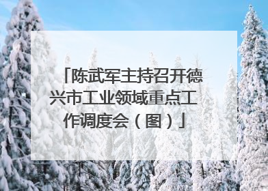 陈武军主持召开德兴市工业领域重点工作调度会（图）