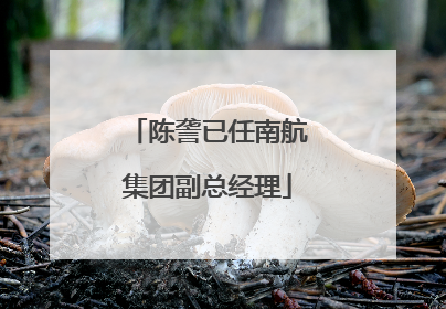 陈詟已任南航集团副总经理