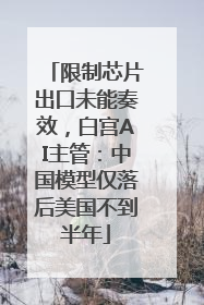 限制芯片出口未能奏效，白宫AI主管：中国模型仅落后美国不到半年