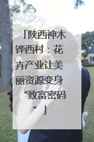 陕西神木铧西村：花卉产业让美丽资源变身“致富密码”