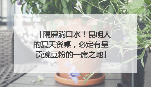 隔屏淌口水！昆明人的夏天餐桌，必定有呈贡豌豆粉的一席之地