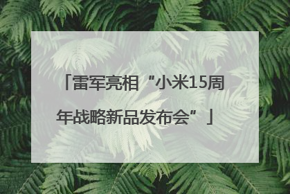 雷军亮相“小米15周年战略新品发布会”