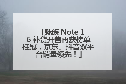 魅族 Note 16 补货开售再获榜单桂冠，京东、抖音双平台销量领先！