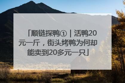 顺链探鸭①｜活鸭20元一斤，街头烤鸭为何却能卖到20多元一只
