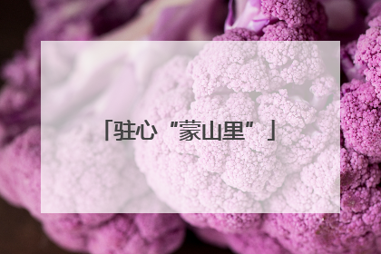 驻心“蒙山里”