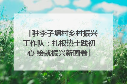 驻李子塘村乡村振兴工作队：扎根热土践初心 绘就振兴新画卷