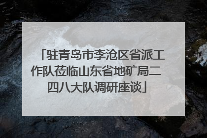 驻青岛市李沧区省派工作队莅临山东省地矿局二四八大队调研座谈