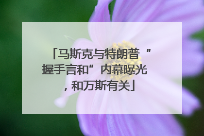 马斯克与特朗普“握手言和”内幕曝光，和万斯有关