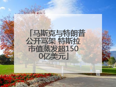 马斯克与特朗普公开骂架 特斯拉市值蒸发超1500亿美元