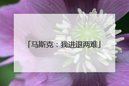 马斯克：我进退两难
