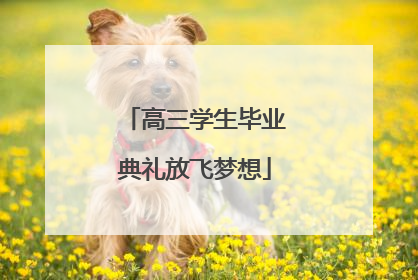 高三学生毕业典礼放飞梦想