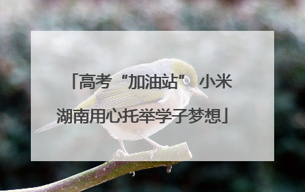 高考“加油站” 小米湖南用心托举学子梦想