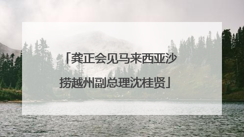 龚正会见马来西亚沙捞越州副总理沈桂贤
