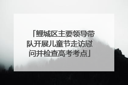 鲤城区主要领导带队开展儿童节走访慰问并检查高考考点