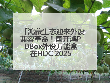 鸿蒙生态迎来外设兼容革命！国开鸿PDBox外设万能盒在HDC 2025大放异彩