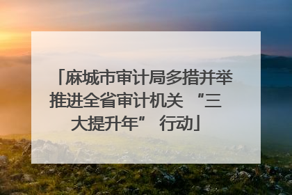 麻城市审计局多措并举推进全省审计机关 “三大提升年” 行动