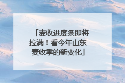 麦收进度条即将拉满！看今年山东麦收季的新变化