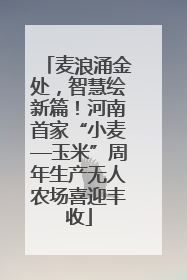 麦浪涌金处，智慧绘新篇！河南首家“小麦—玉米”周年生产无人农场喜迎丰收