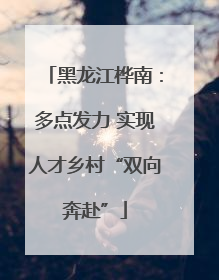 黑龙江桦南：多点发力 实现人才乡村“双向奔赴”