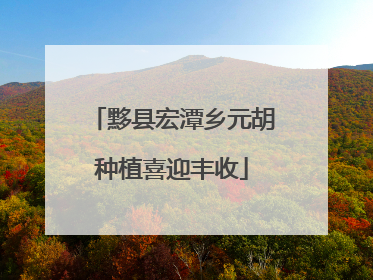 黟县宏潭乡元胡种植喜迎丰收