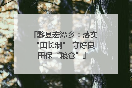黟县宏潭乡：落实“田长制” 守好良田保“粮仓”