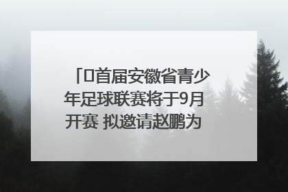﻿首届安徽省青少年足球联赛将于9月开赛 拟邀请赵鹏为先导赛开球