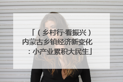 （乡村行·看振兴）内蒙古乡镇经济新变化：小产业累积大民生