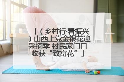 （乡村行·看振兴）山西上党金银花迎采摘季 村民家门口收获“致富花”
