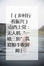 （乡村行·看振兴）山西上党：无人机“一喷三防”筑夏粮丰收屏障