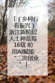 （乡村行·看振兴）浙江新阶层人士种蓝莓16载 盼用AI赋能“二次创业”