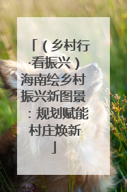 （乡村行·看振兴）海南绘乡村振兴新图景：规划赋能 村庄焕新
