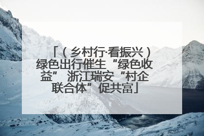 （乡村行·看振兴）绿色出行催生“绿色收益” 浙江瑞安“村企联合体”促共富