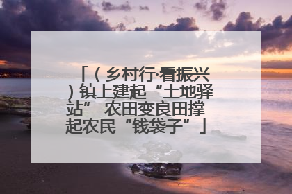 （乡村行·看振兴）镇上建起“土地驿站” 农田变良田撑起农民“钱袋子”