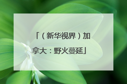 （新华视界）加拿大：野火蔓延